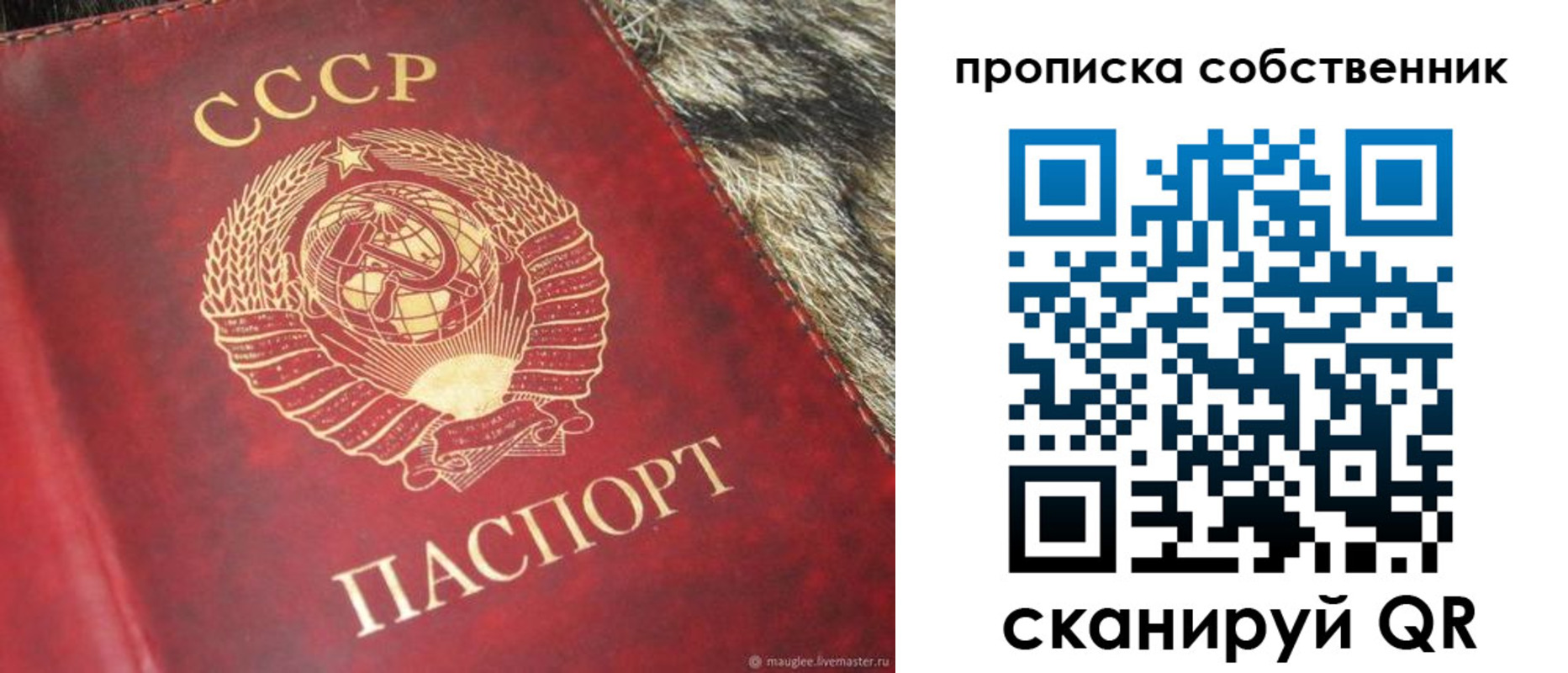прописка в квартире в Кирсанове